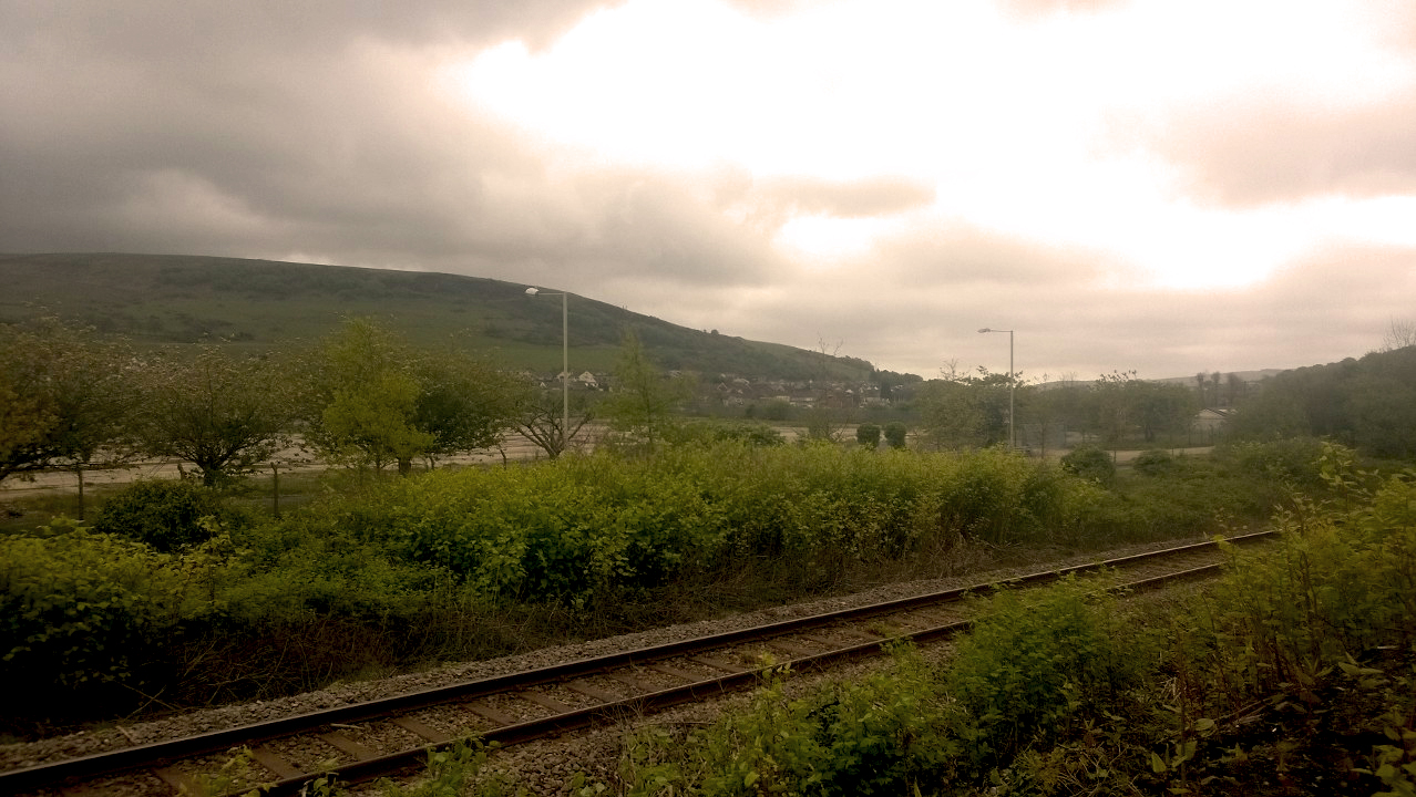 knotweed overgrowth alongside railway lines