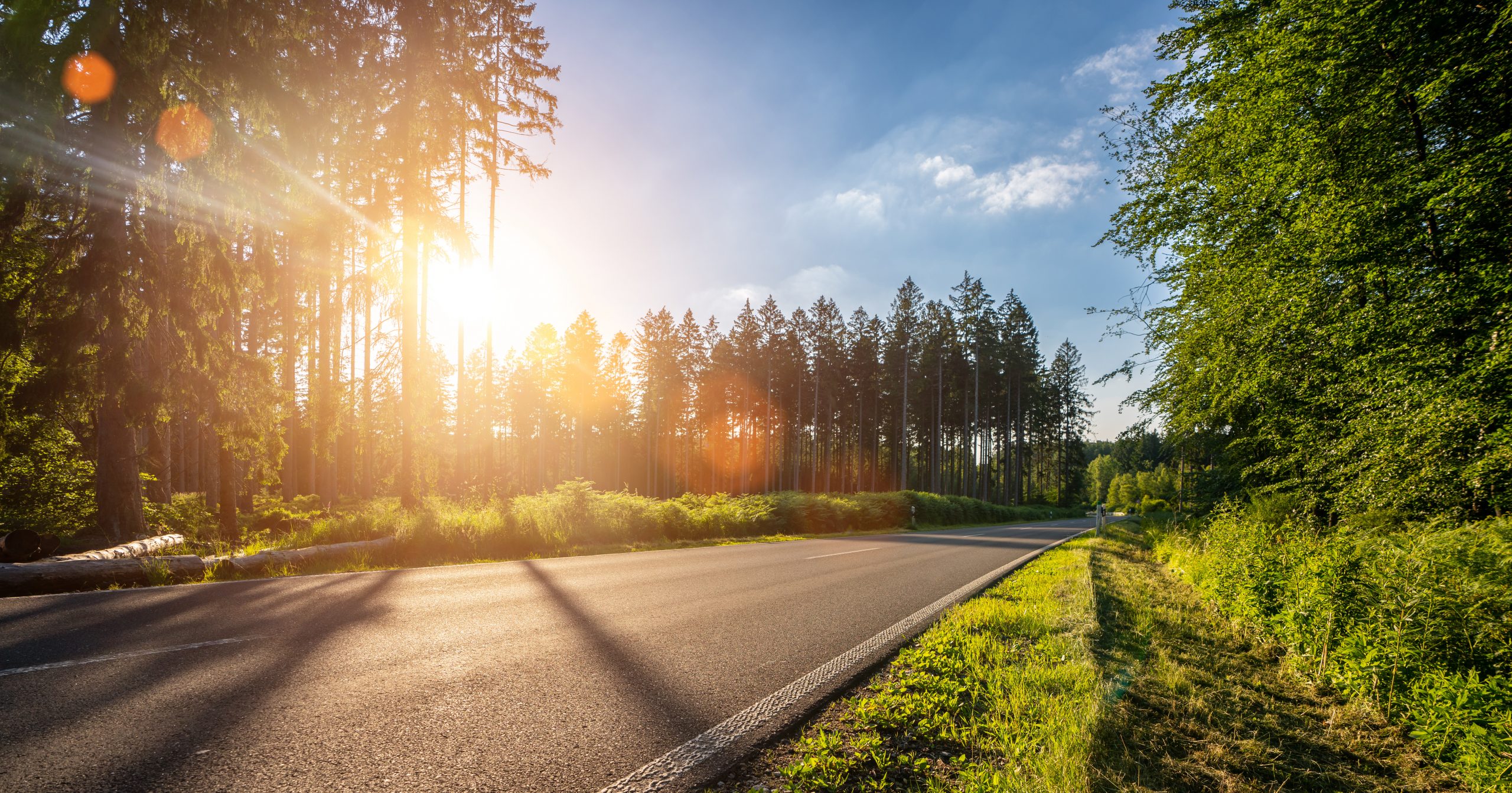 Traffic free roadway with sun shining through trees