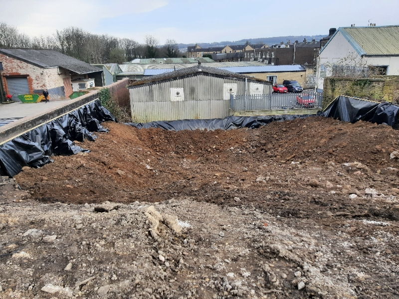 Excavation site with root barriers