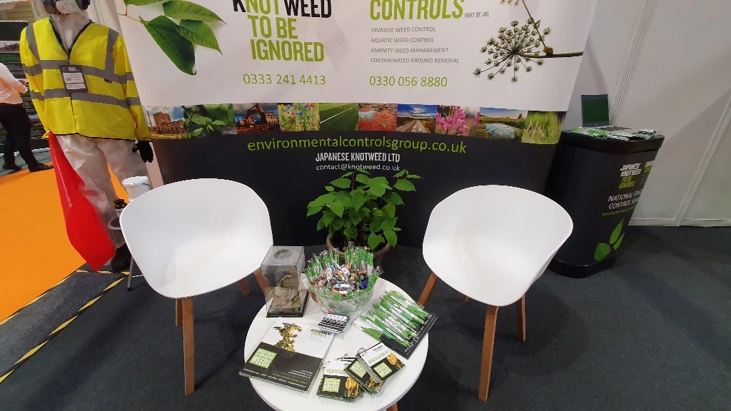 Exhibition stand with living knotweed specimen