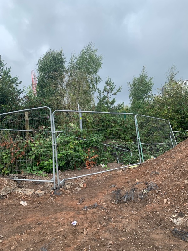 Metal fencing around a knotweed area