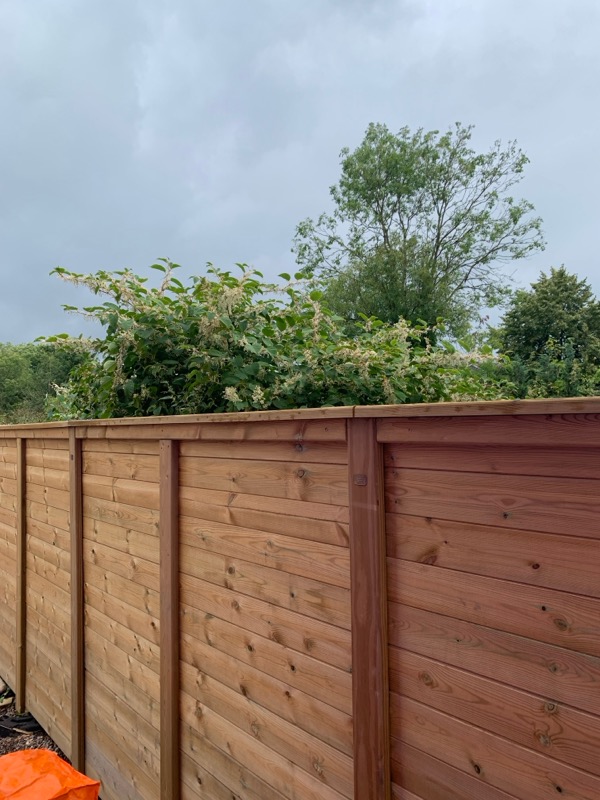 Wooden fencing panels 