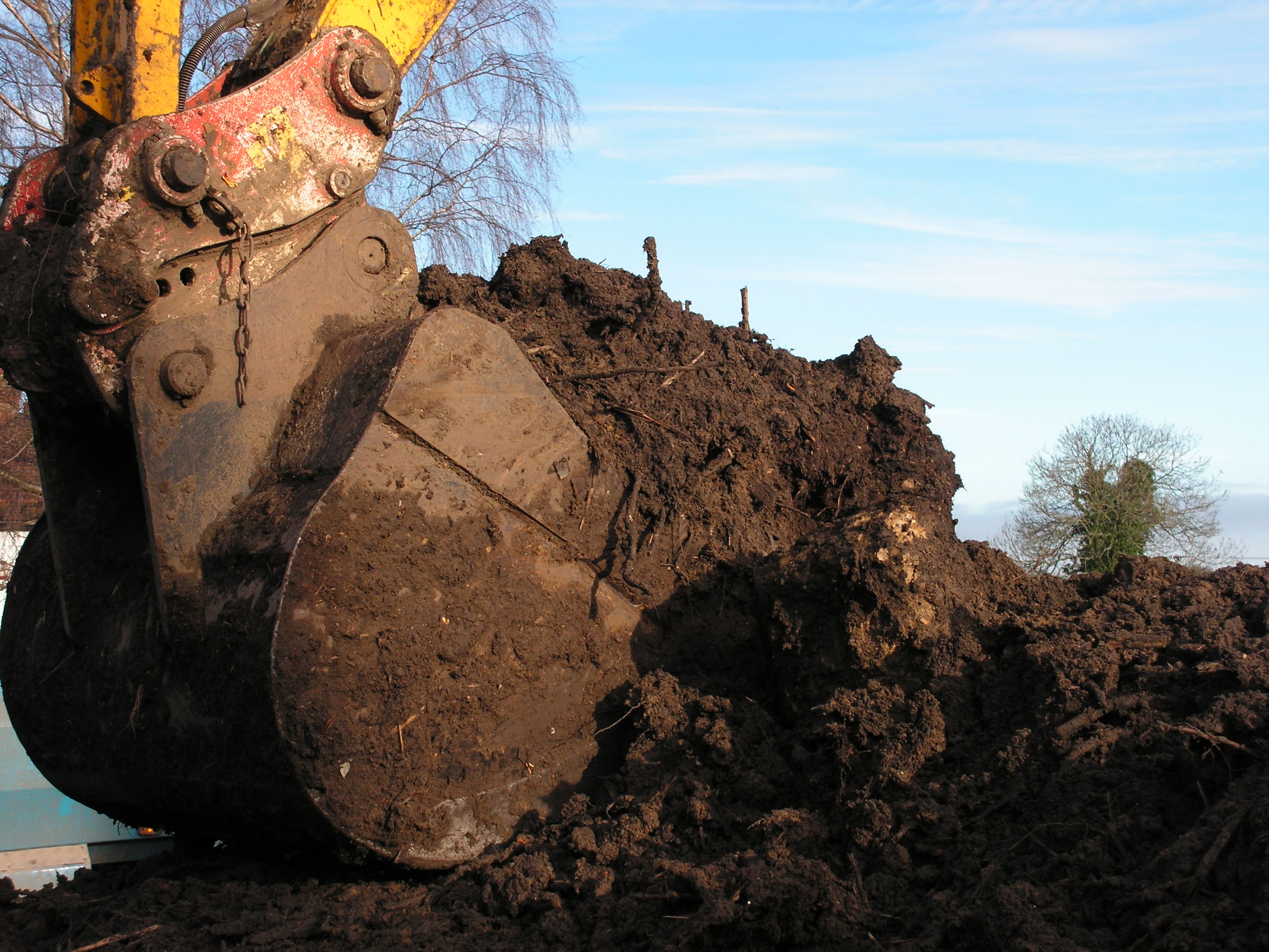 Stockpiling knotweed