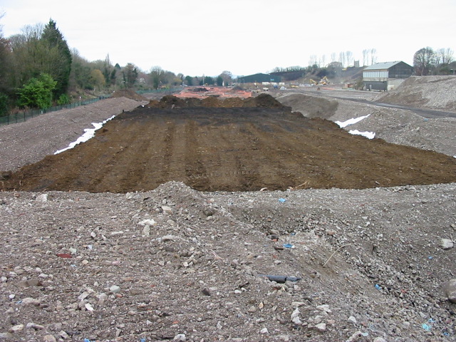 An area of ground on a construction site that has been rolled flat, covering knotweed soils