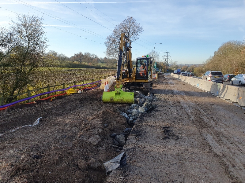 Knotweed removal on highways